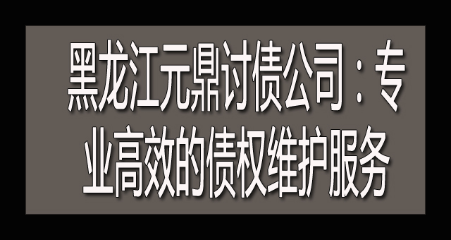 黑龙江元鼎讨债公司：专业高效的债权维护服务