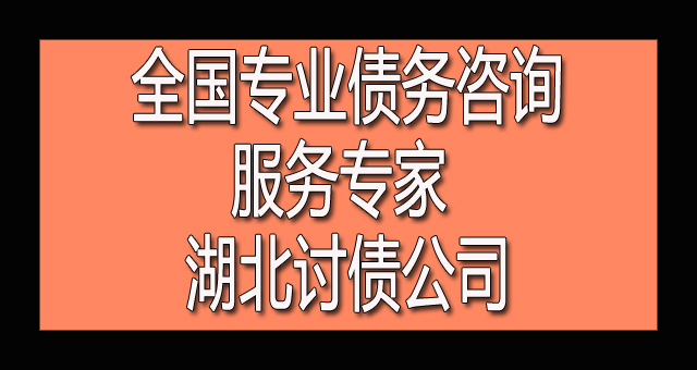 全国专业债务咨询服务专家 湖北讨债公司.jpg