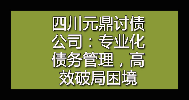 四川元鼎讨债公司：专业化债务管理，高效破局困境.jpg