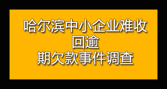 哈尔滨中小企业难收回逾期欠款事件调查