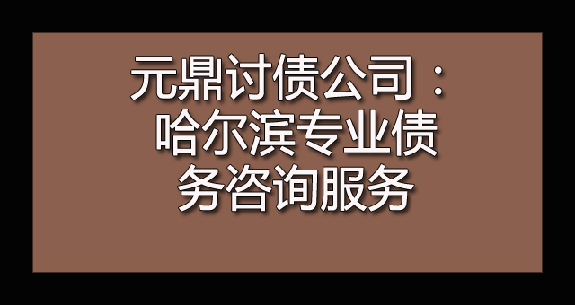 元鼎讨债公司：哈尔滨专业债务咨询服务